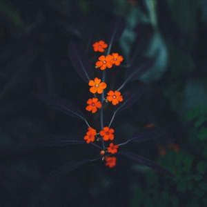 好紧⋯我要进去c你了骚
